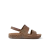 Tan Zebra