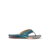 Coral Current